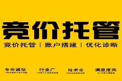 搜索引擎营销（SEM）在移动端的推广案例